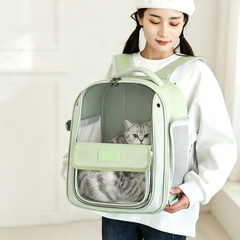 Transparent Cat Backpack Carrier