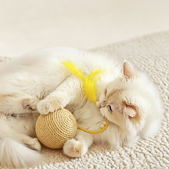 Woven Rope Cat Ball Toy with Feather